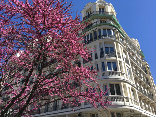 Italiano A Madrid-马德里必去景点