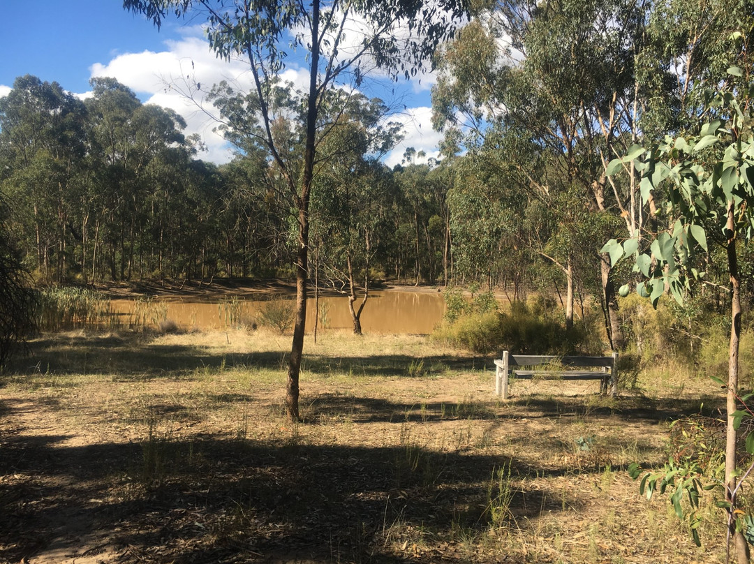 Seymour Bushland Park景点图片