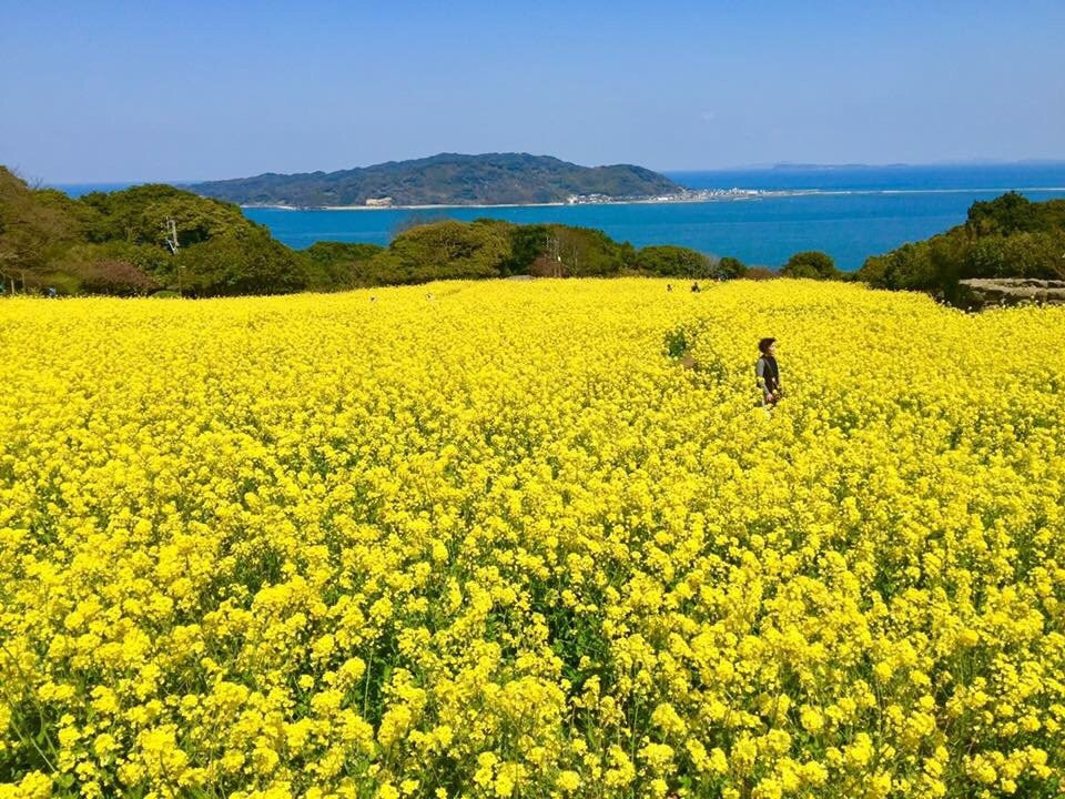 能古岛-福冈市必去景点