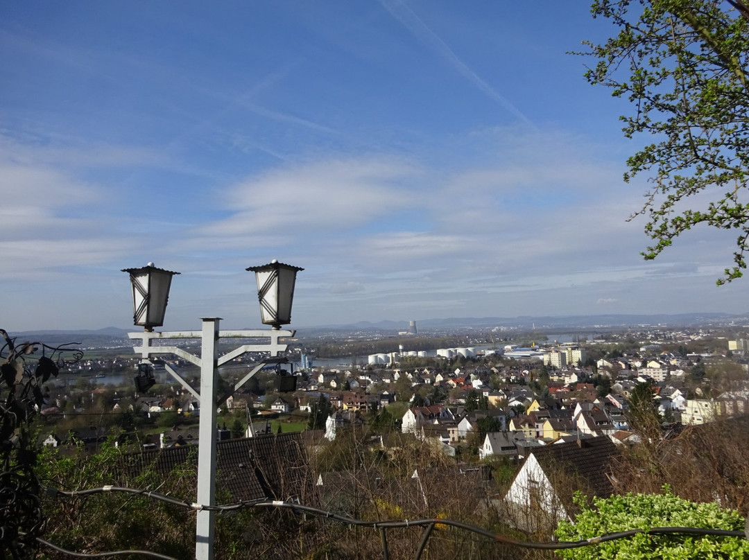 Berghotel Rheinblick主图