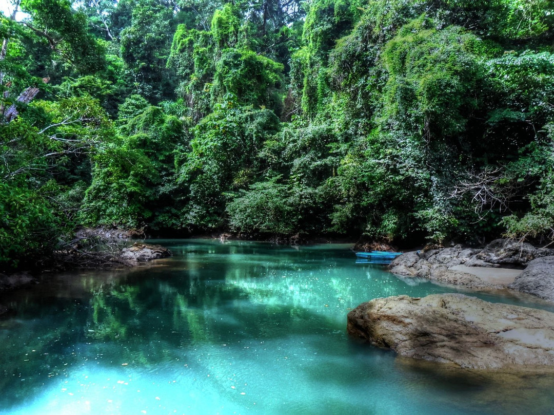 Tranfers Lapa Verde and shuttle in Costa Rica景点图片