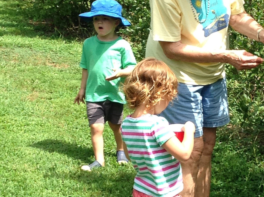 Cool Springs Blueberry Farm-盖恩斯维尔必去景点