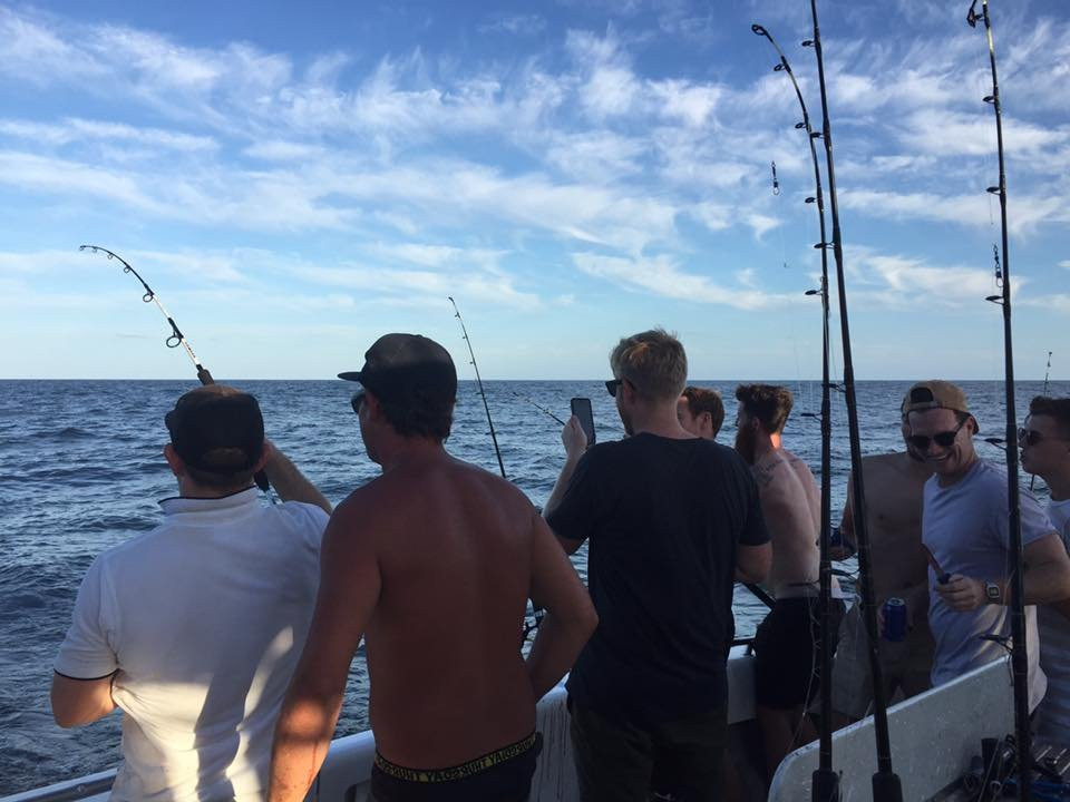 Sydney Sea Charters-巴尔曼必去景点