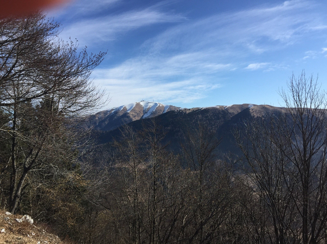 Sentiero del Monte Frontal景点图片