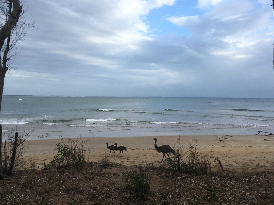 Eurimbula National Park-Agnes Water必去景点