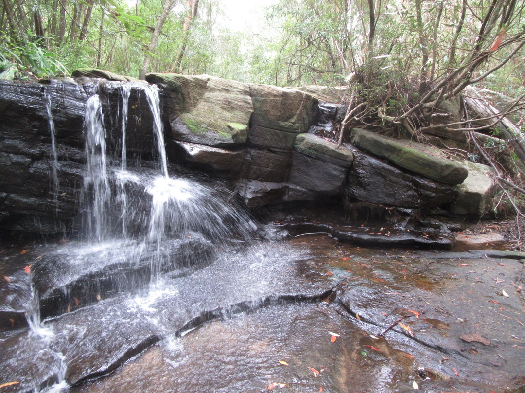 Kellys Falls Track