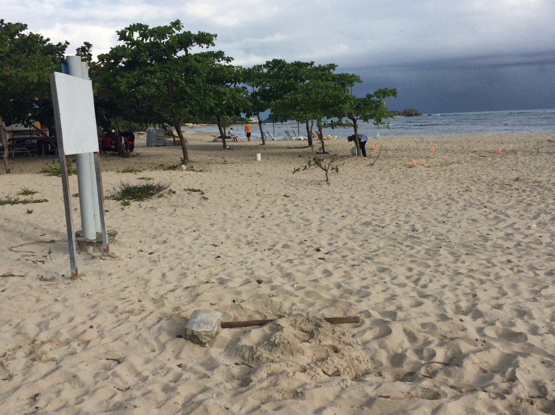 Long Beach-普拉塔港必去景点
