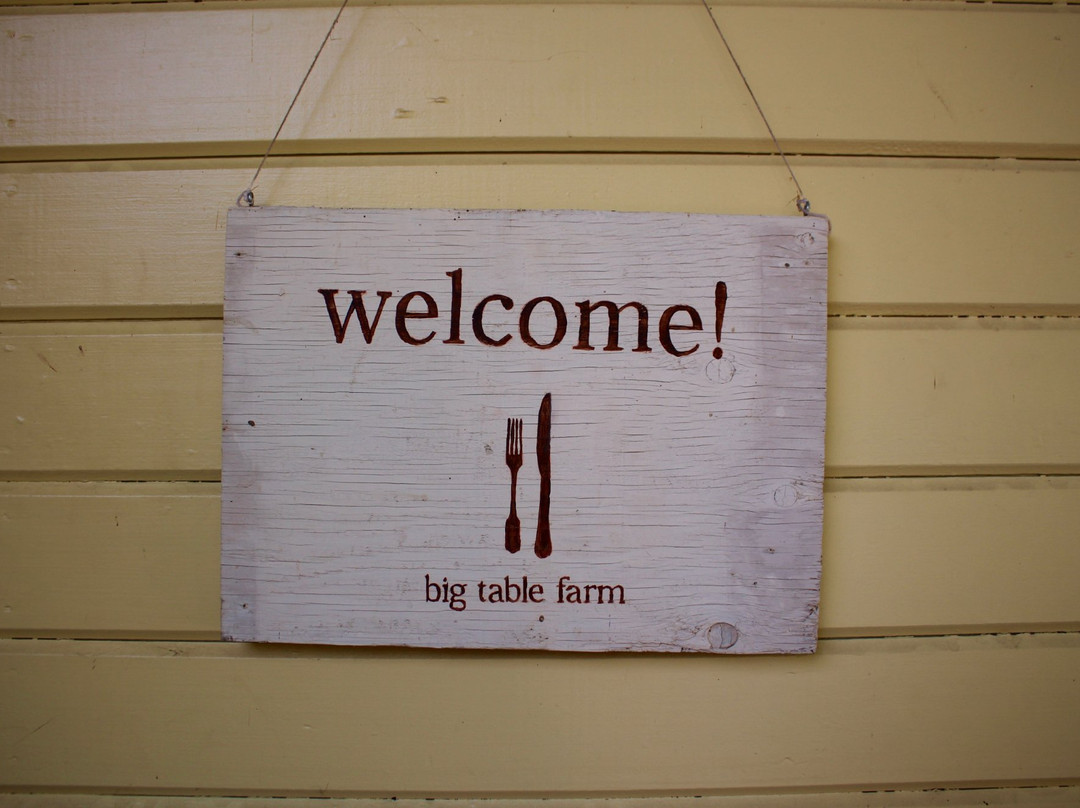 Cellar Door Wine Tours