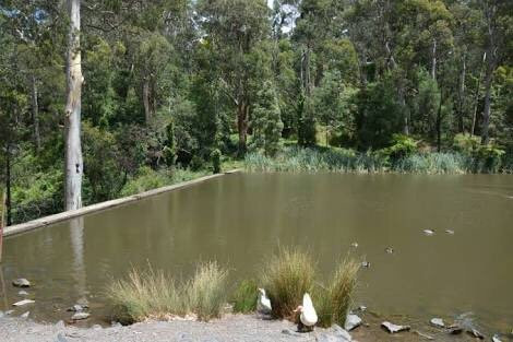 Belgrave Lake Park-贝尔格雷夫必去景点