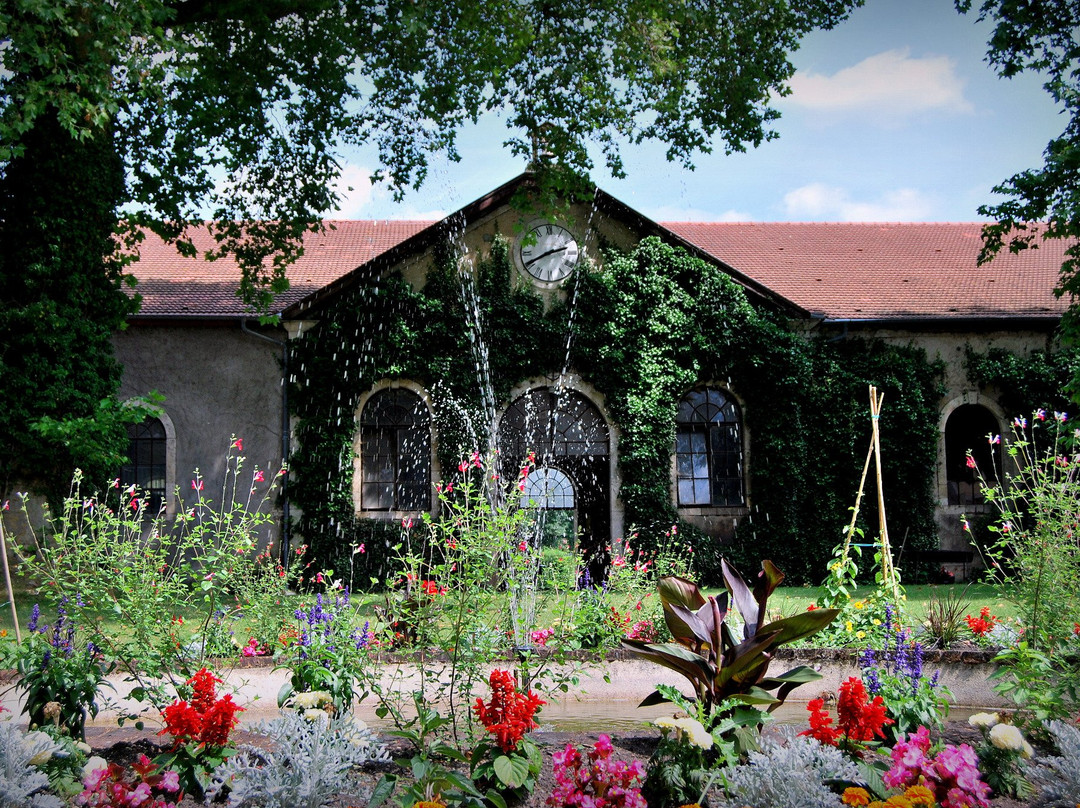 Haras national de Rosières aux Salines-Dombasle-sur-Meurthe必去景点