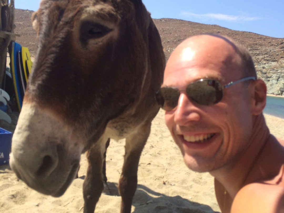 Serifos Scuba Divers-Livadi必去景点