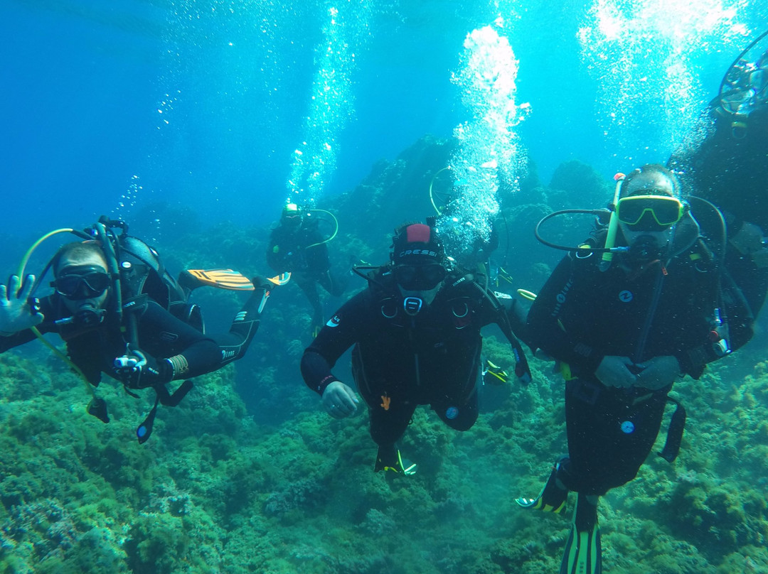 La Maison du Plongeur-Tenes必去景点