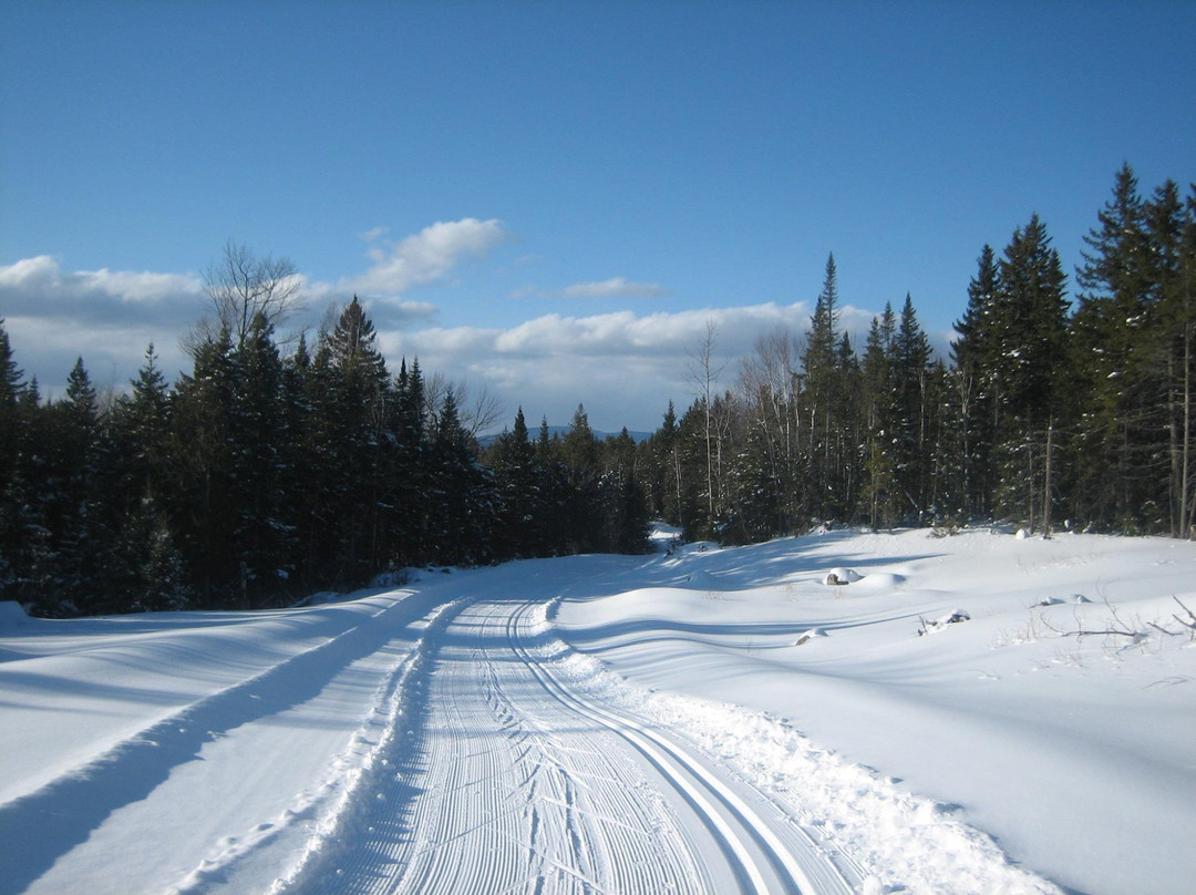 Rangeley Lakes Trails Center景点图片