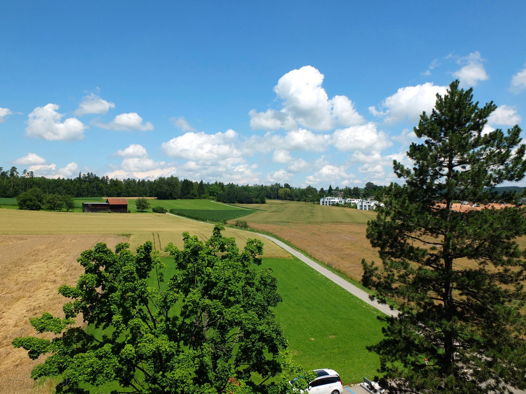 Dietlikon旅游攻略图片