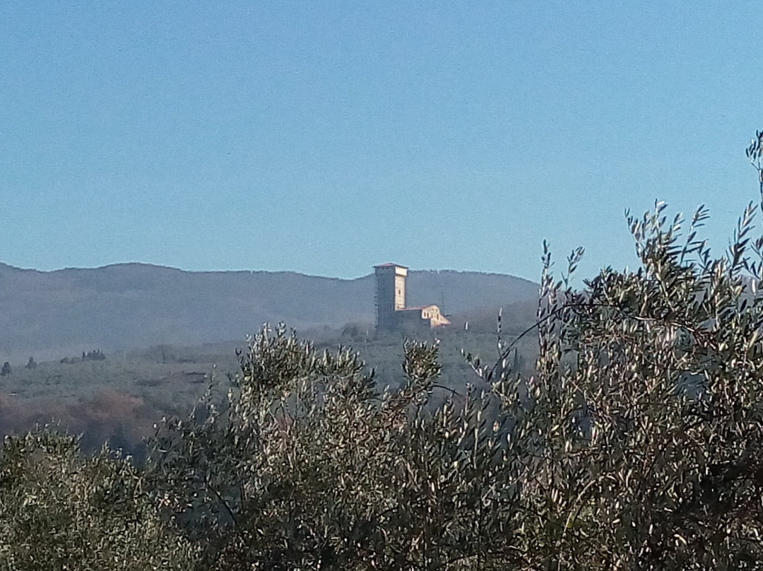 Torre di Baroncoli景点图片