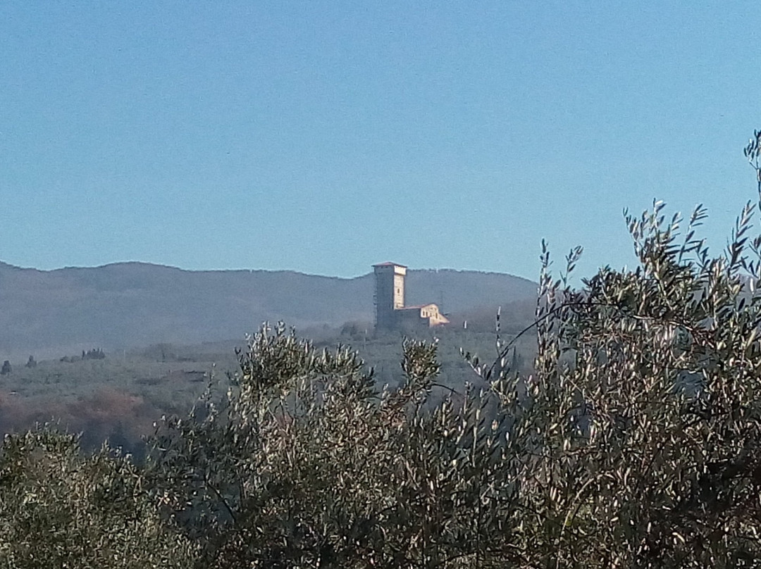 Torre di Baroncoli
