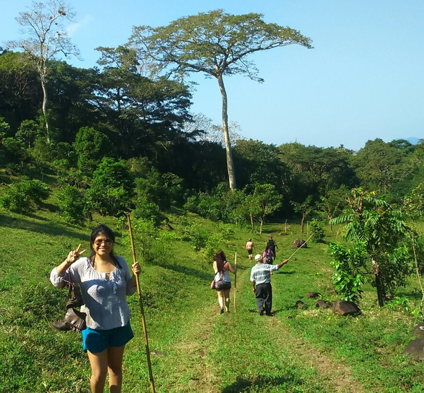 Reserva Ecologica Benito Juarez景点图片