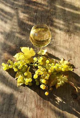 Domaine Verena Wyss-Gabian必去景点