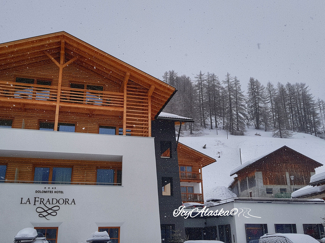 Dolomites Hotel La Fradora主图