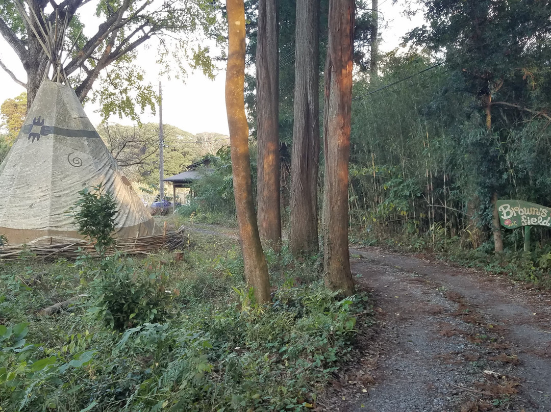 Brown's Field-夷隅市必去景点