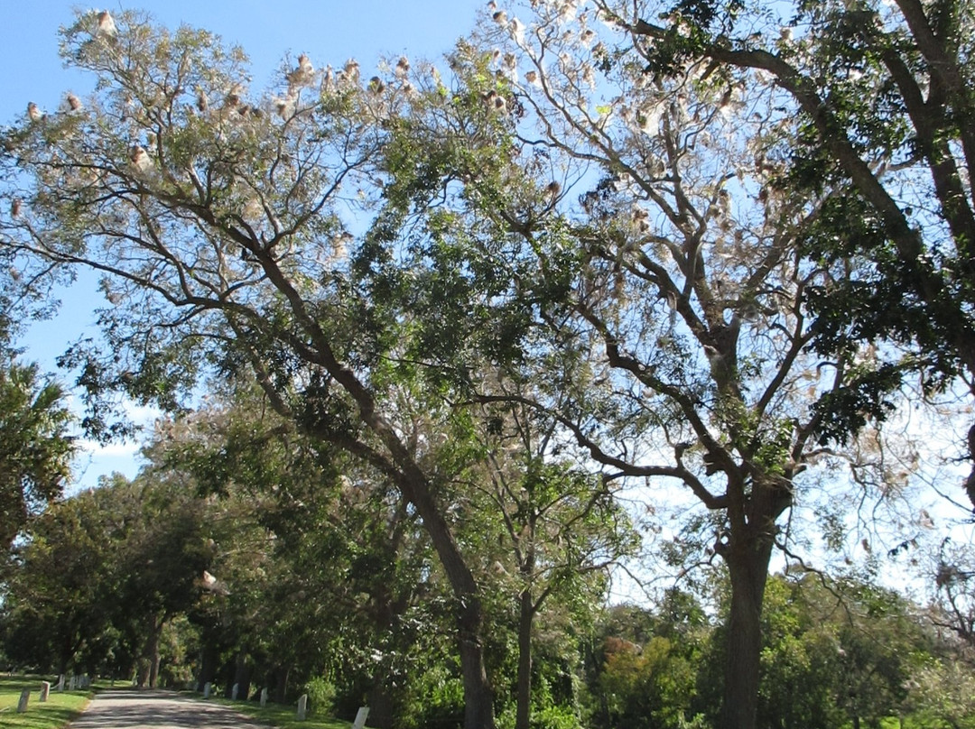 Max Starcke Park-塞金必去景点