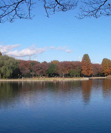 Doho Park景点门票图片