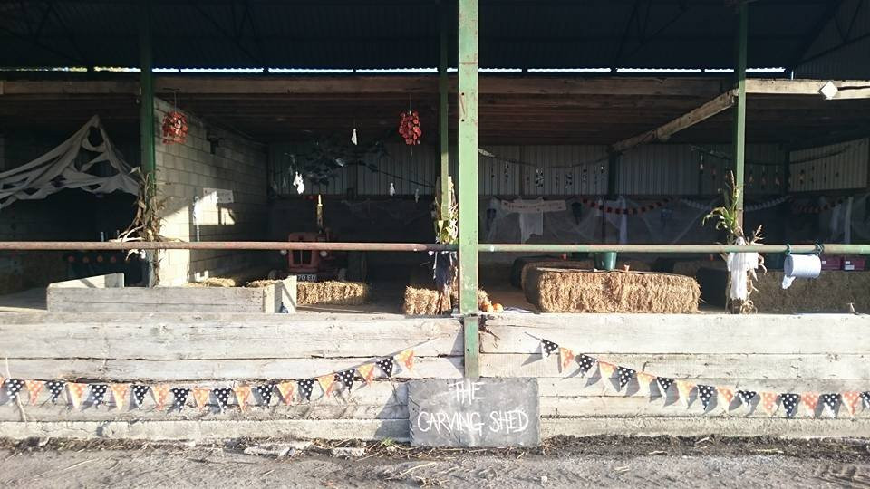 Sandy Lane Farm景点图片