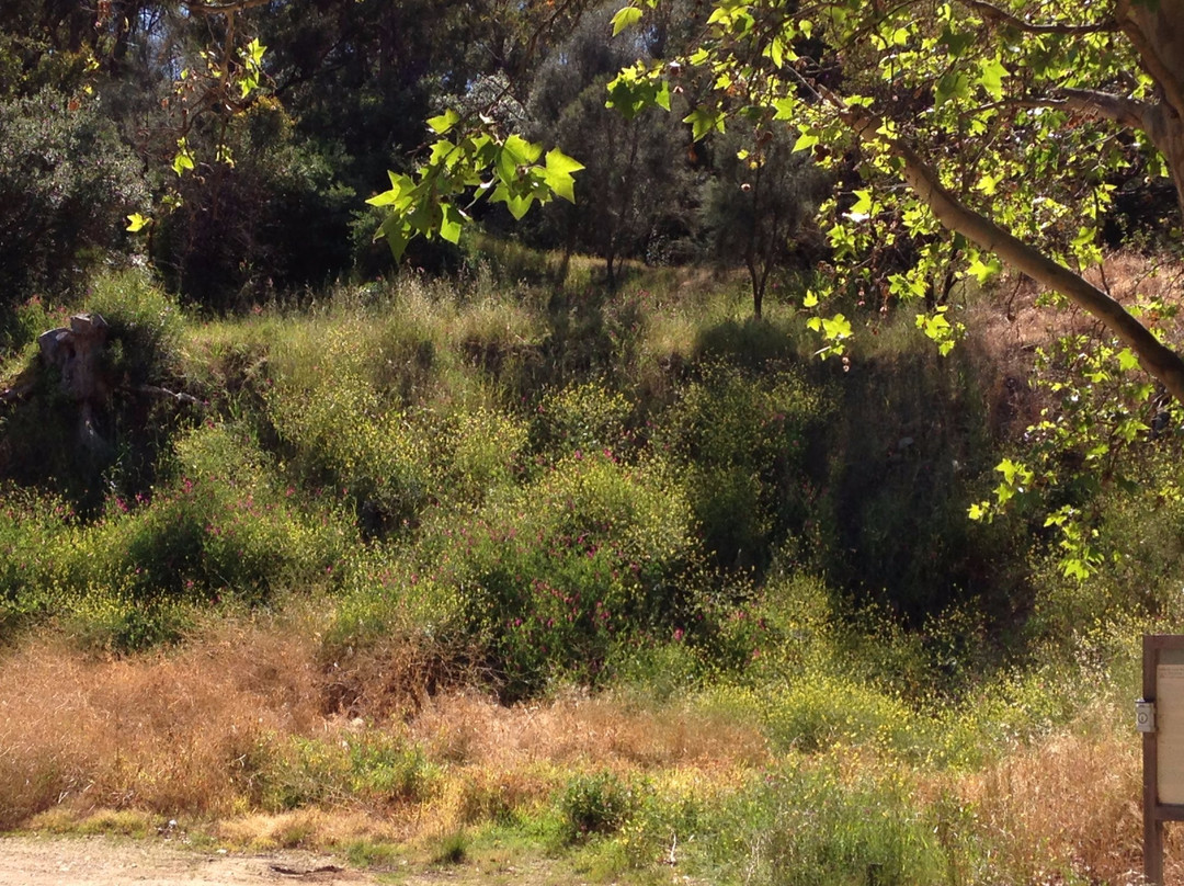 Brownhill Creek Recreation Park景点图片