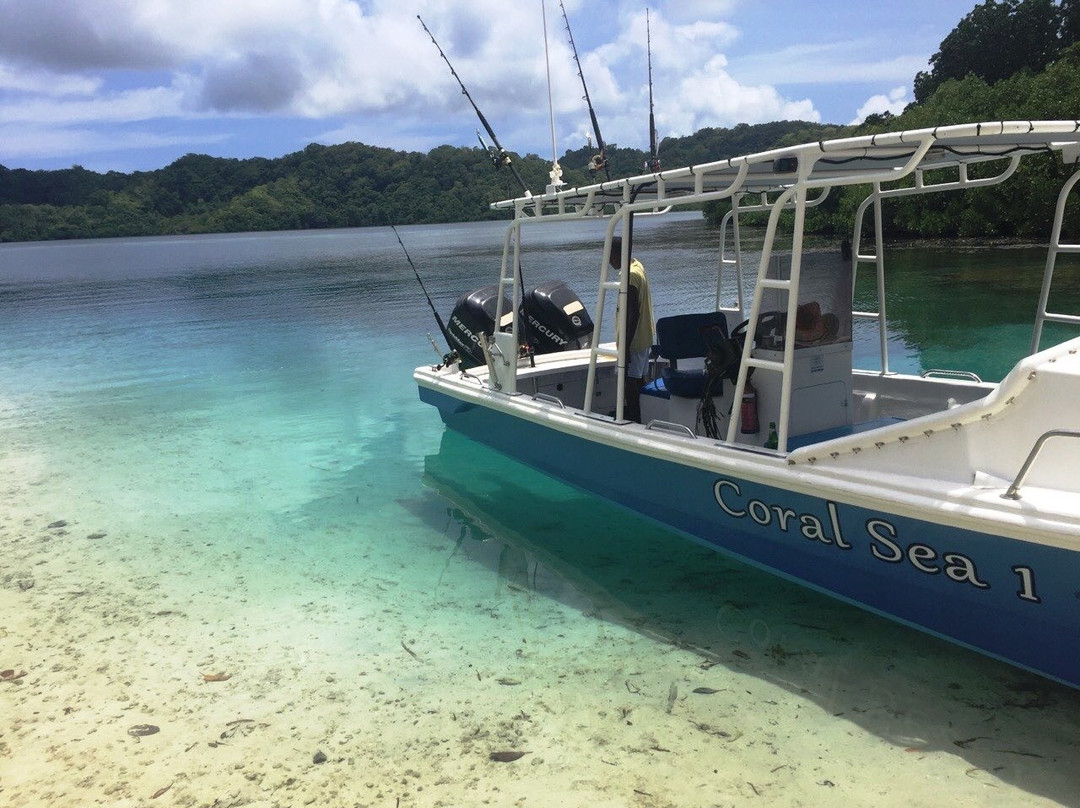 Coral Sea Resort Boat Charter景点图片