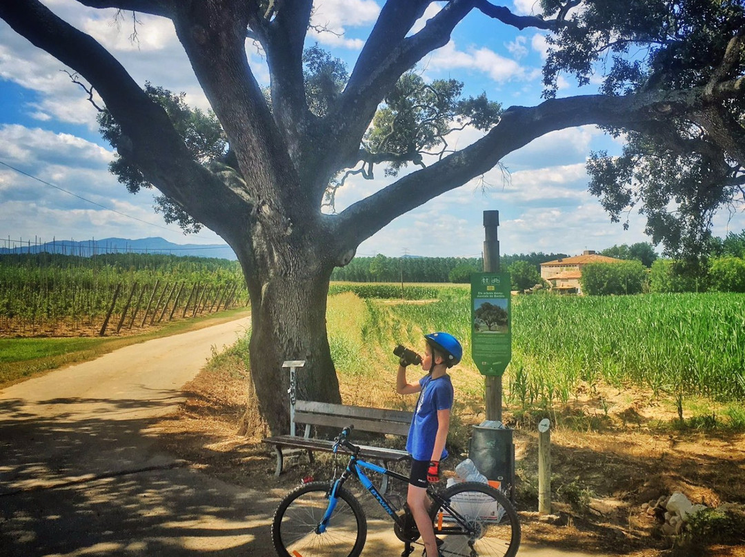 Fietsen in Girona景点图片