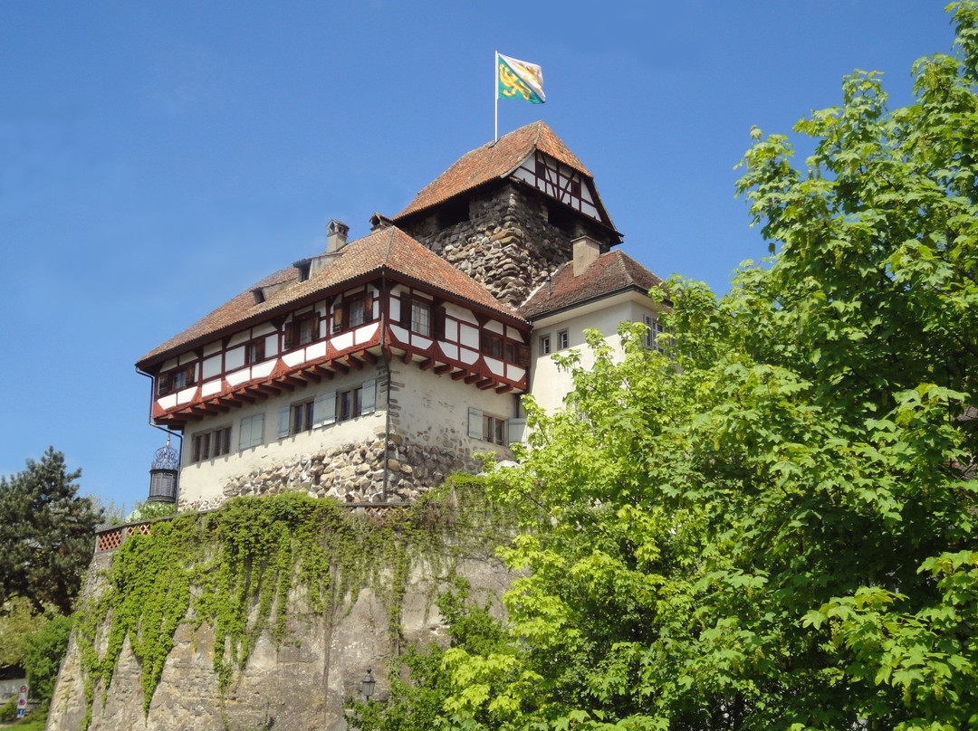 Historisches Museum Thurgau景点图片
