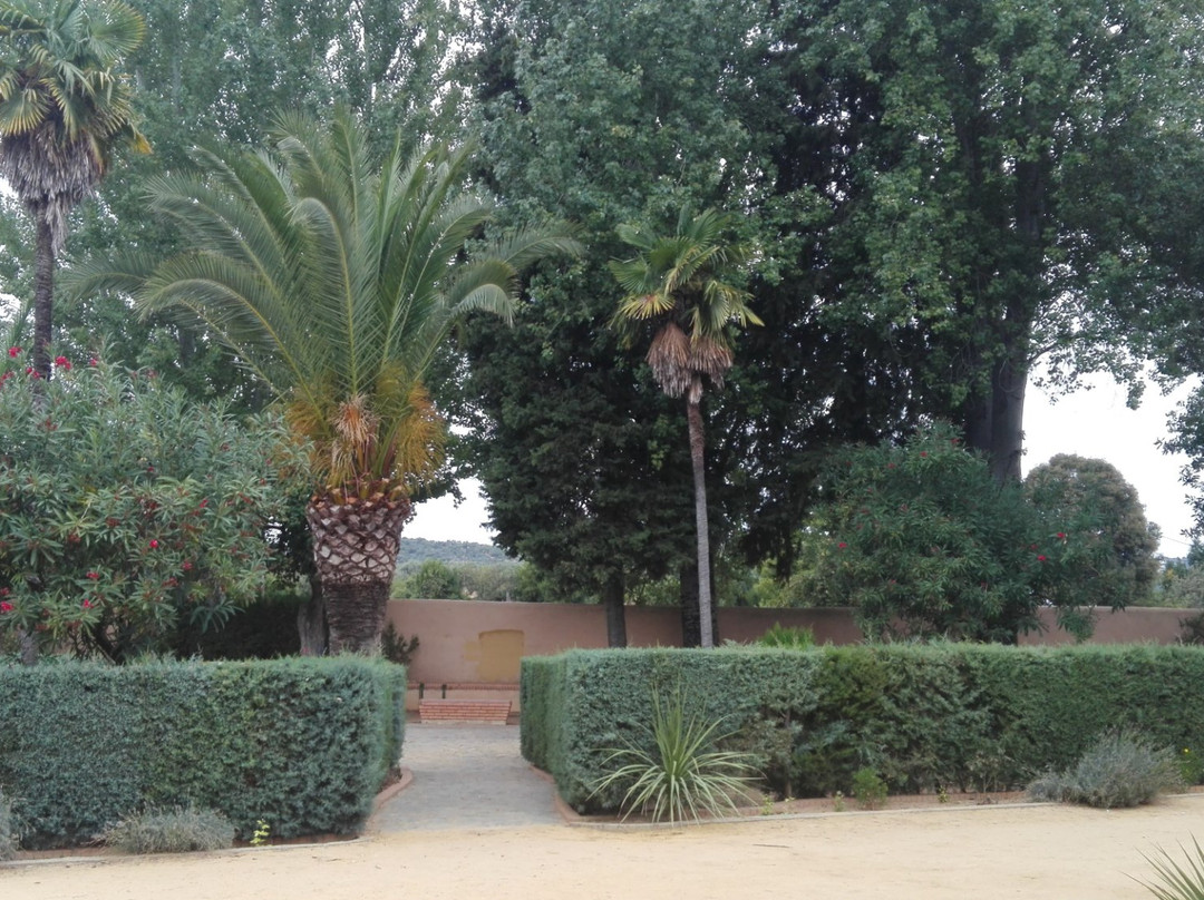 Jardín Municipal景点图片