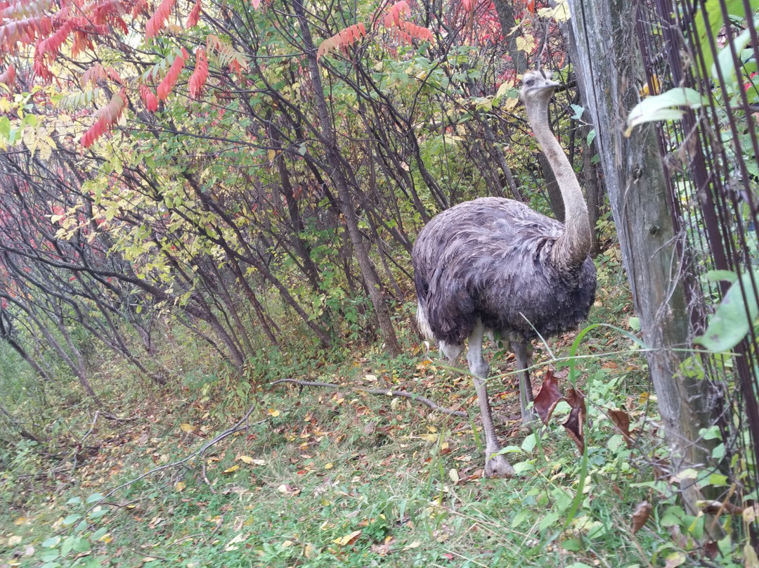 Nid'Otruche-Saint-Eustache必去景点