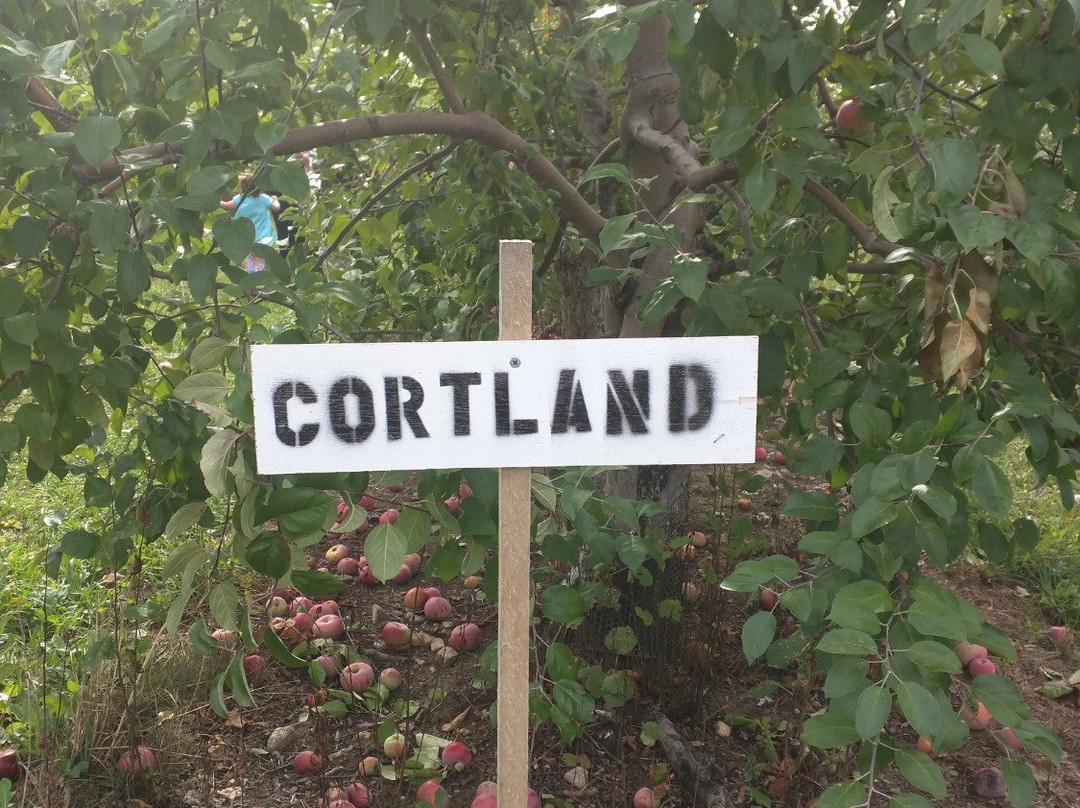 Mack's Apples-Londonderry必去景点