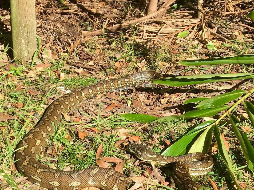 Mountain Bike Day Tours-拜伦湾必去景点