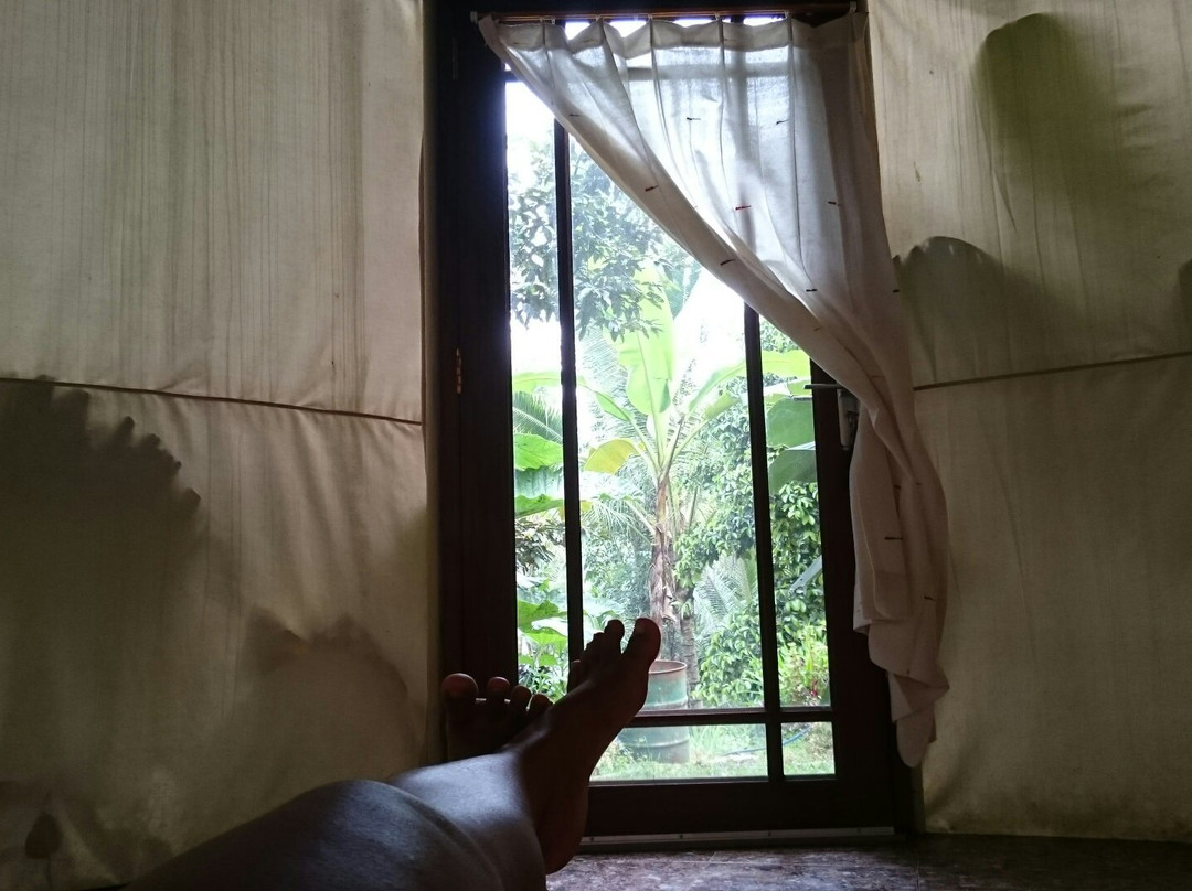 Bali Camping-Penebel必去景点