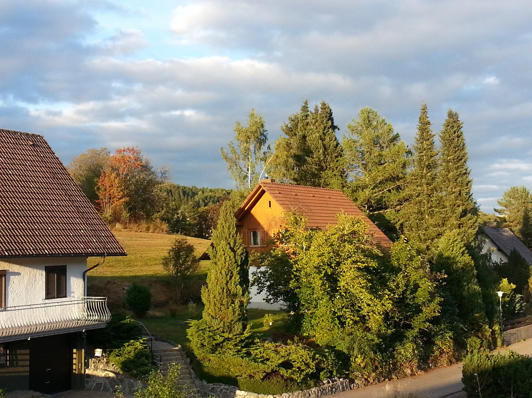Lenzkirch酒店住宿-Pension Waldwinkel