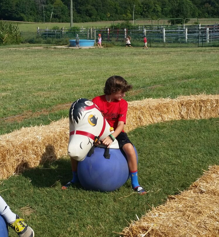 Old McDonald's Farm-Sale Creek必去景点