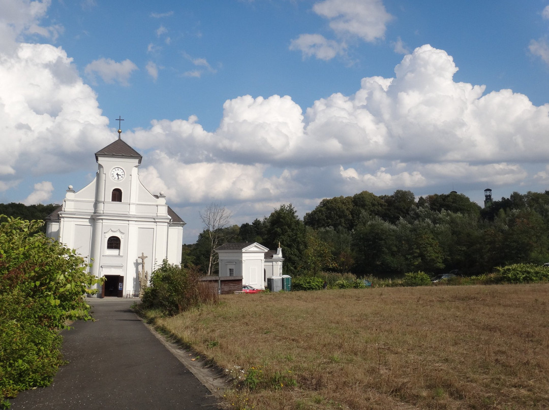 Saint Peter of Alcantara Church景点图片