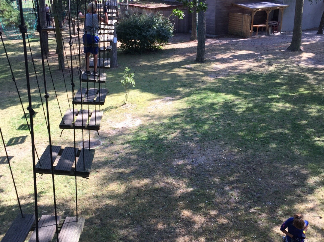 Kletterpark Boltenhagen景点图片