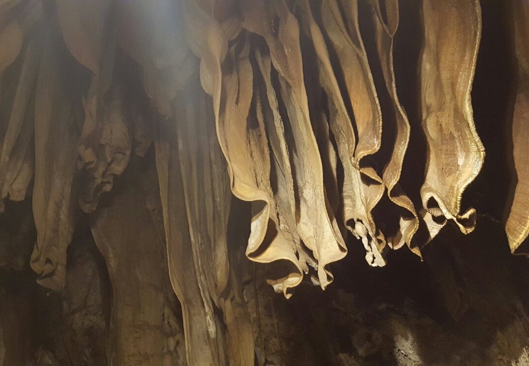 Moaning Caverns Adventure Park景点图片