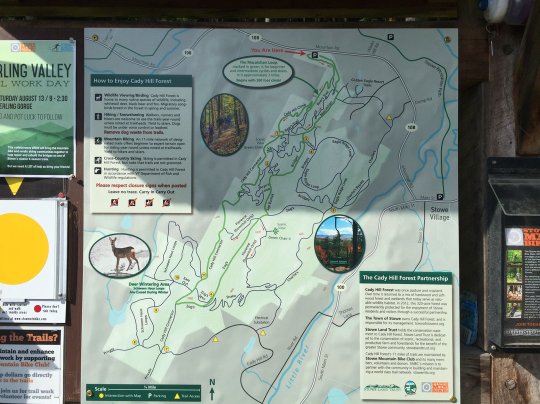 Cady Hill Forest-斯托必去景点