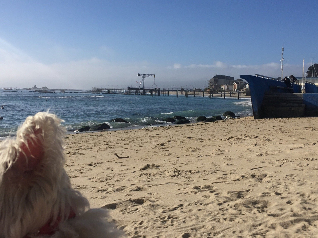 Playa El Pejerrey景点图片