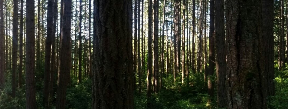 Guillemot Cove Nature Preserve-Seabeck必去景点