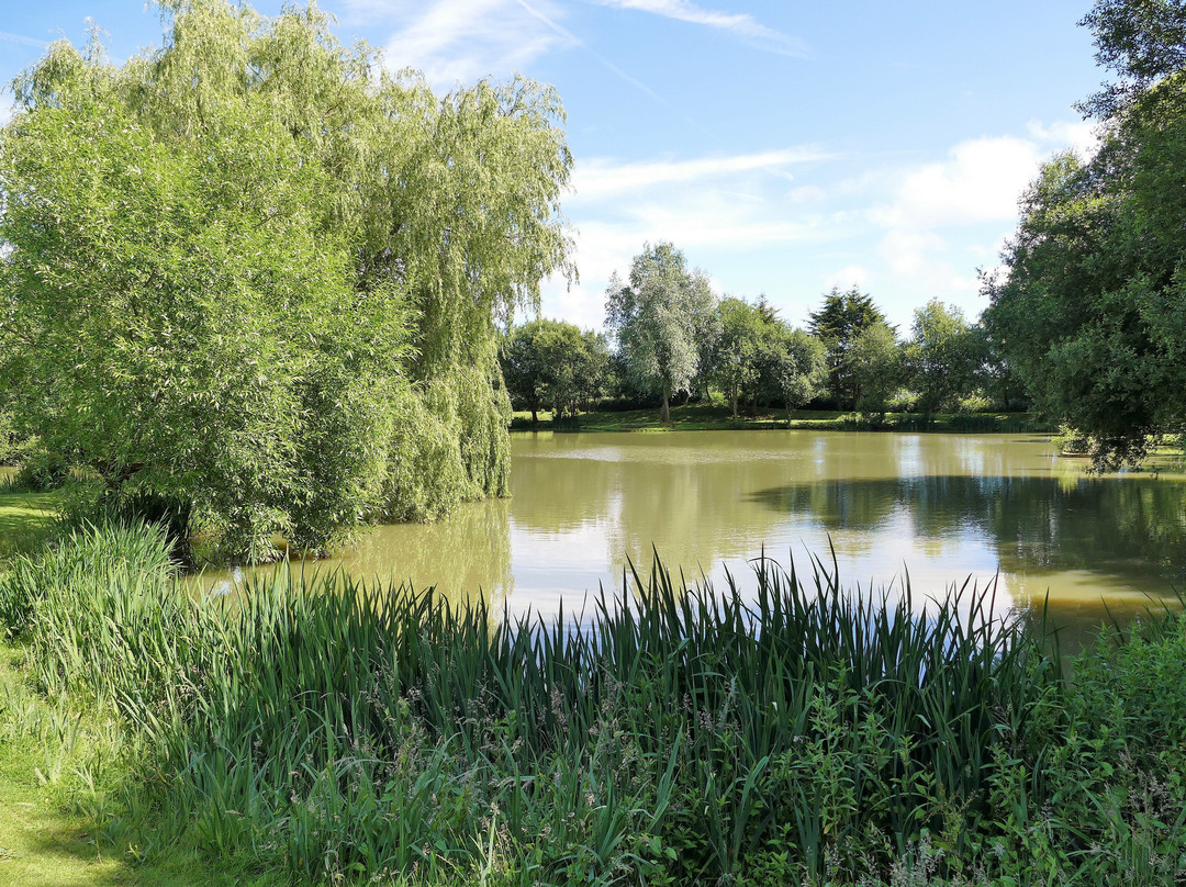 Furzeley Golf Club景点图片
