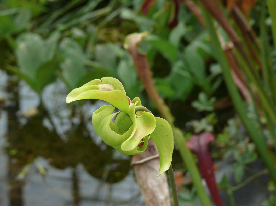 The Bog of Allen Nature Centre-基尔代尔必去景点