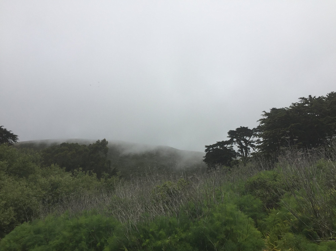 State Route 198-加利福尼亚必去景点