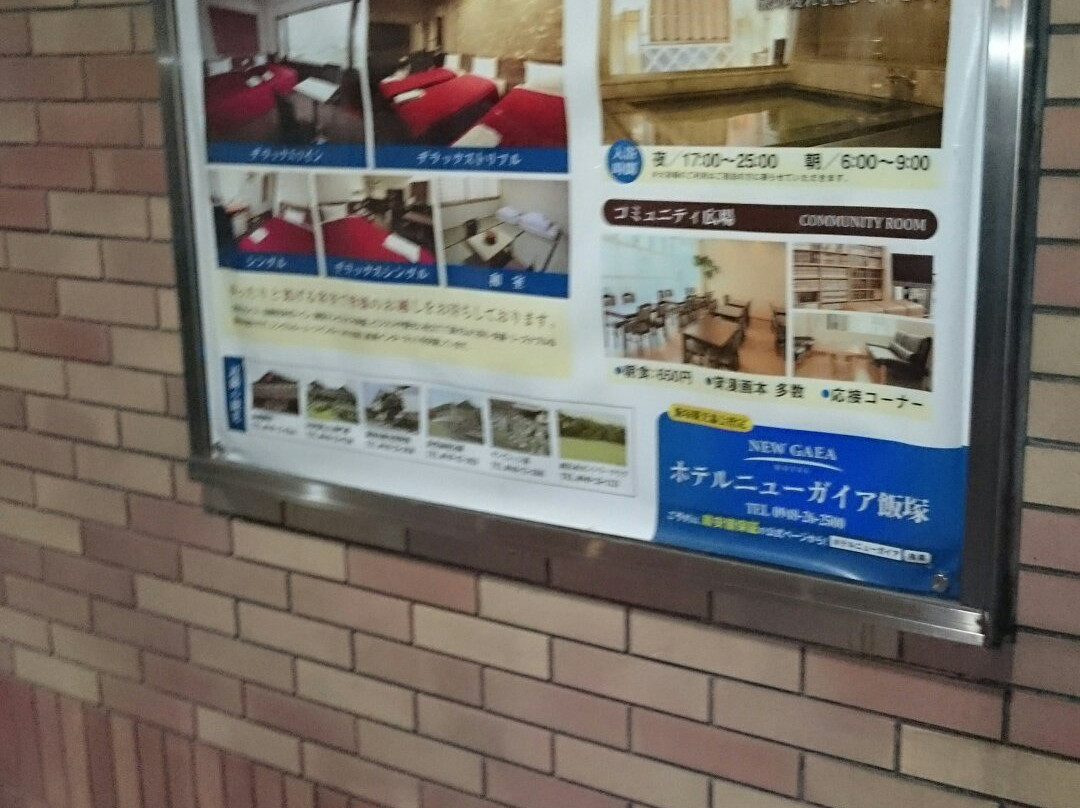Hotel New Gaea Iizuka主图