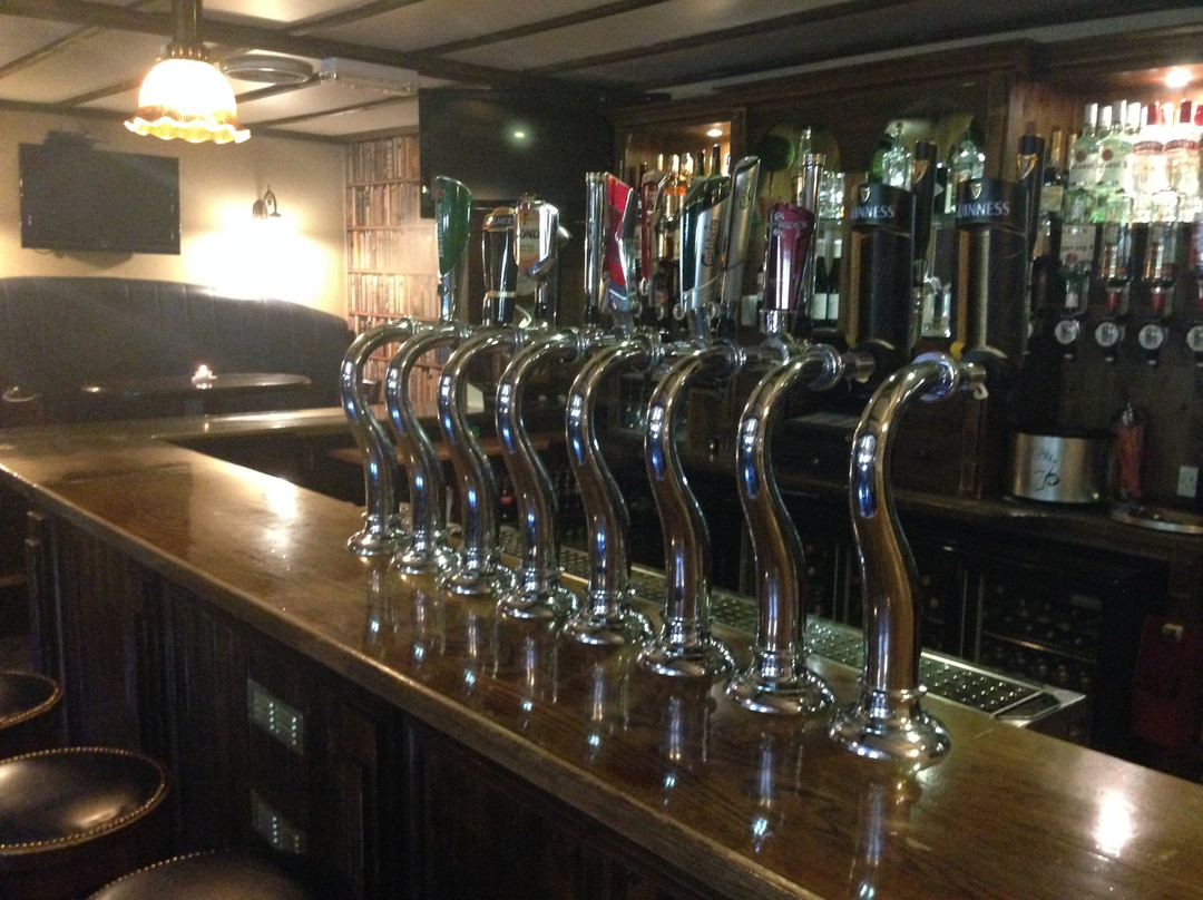 The Bush Pub-Ballysax必去景点