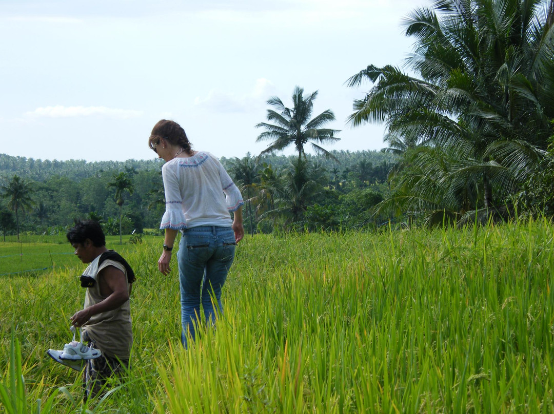 Lombok Tour-Senggigi必去景点